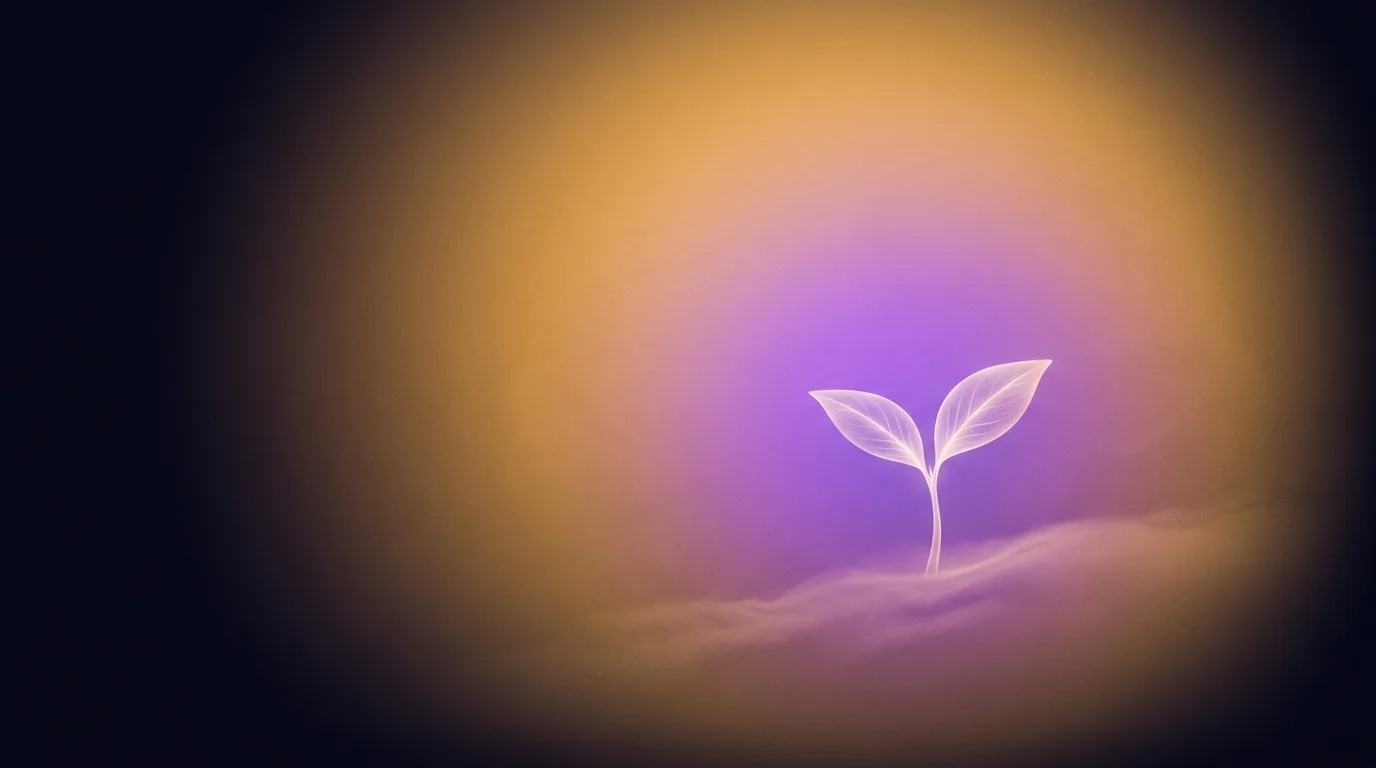 Wellness and Clinic Websites That Convert (Without Breaking Trust)