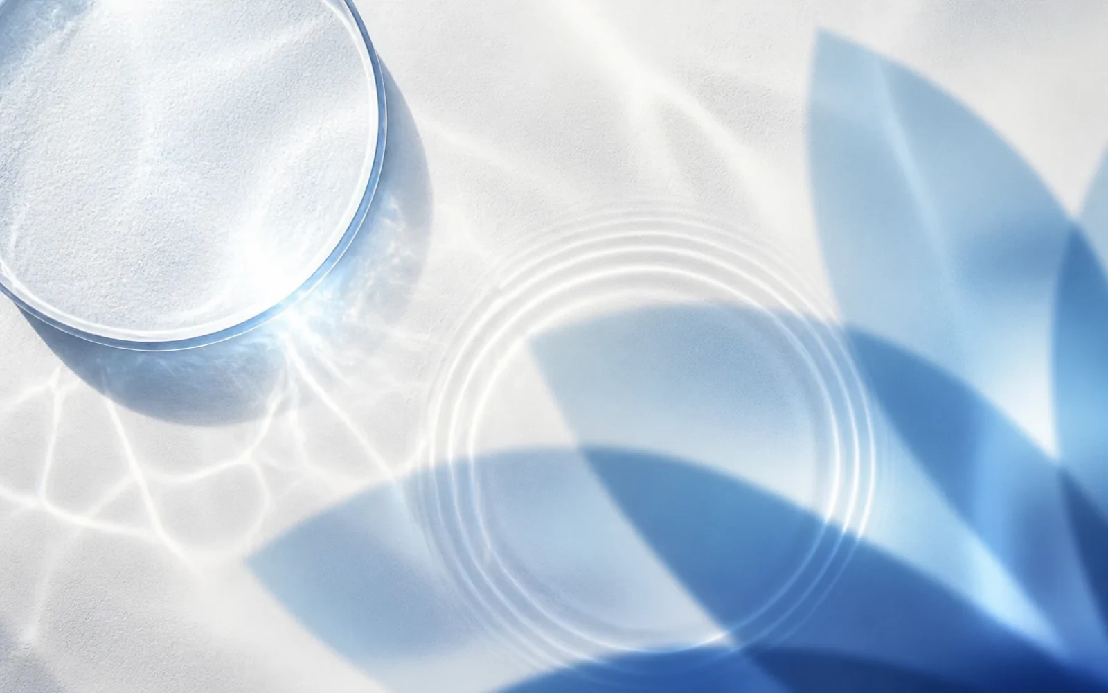Lomena Website Redesign Case Study: Why We Started Again